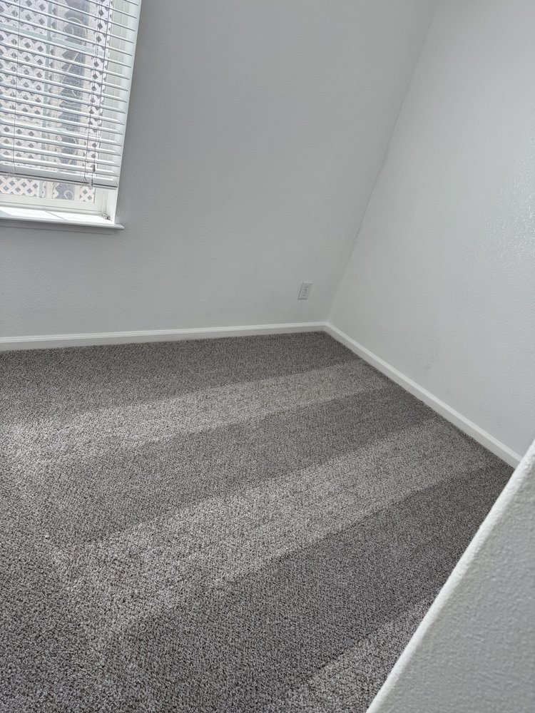 Freshly vacuumed carpet with clean lines